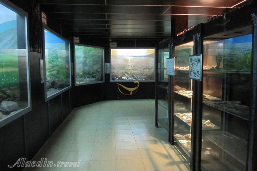 موزه تاریخ طبیعی کبودوال علی‌آباد کتول | علاءالدین تراول