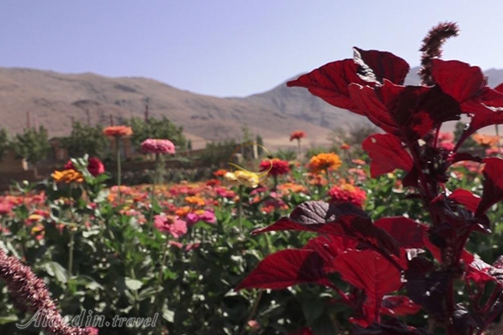 روستای گایکان الیگودرز | علاءالدین تراول