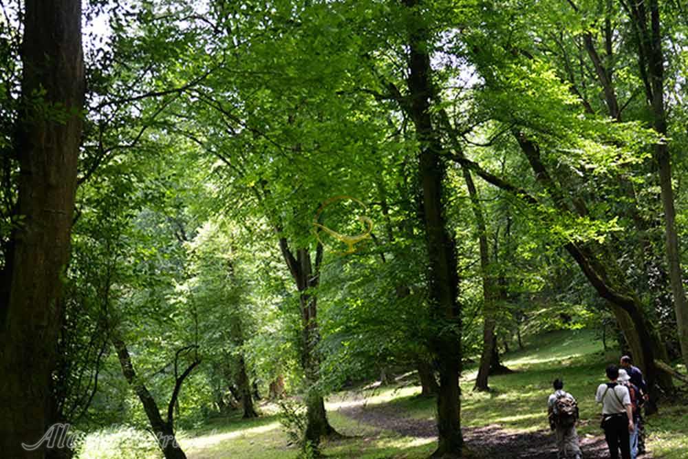 آبشار بلیران آمل | علاءالدین تراول