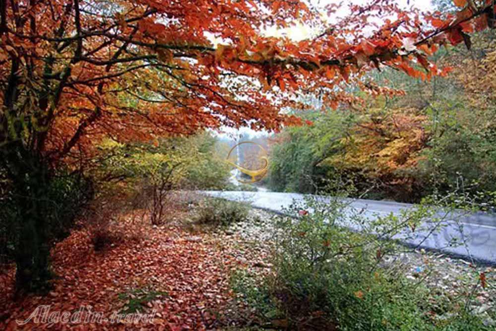 آبشار بلیران آمل | علاءالدین تراول