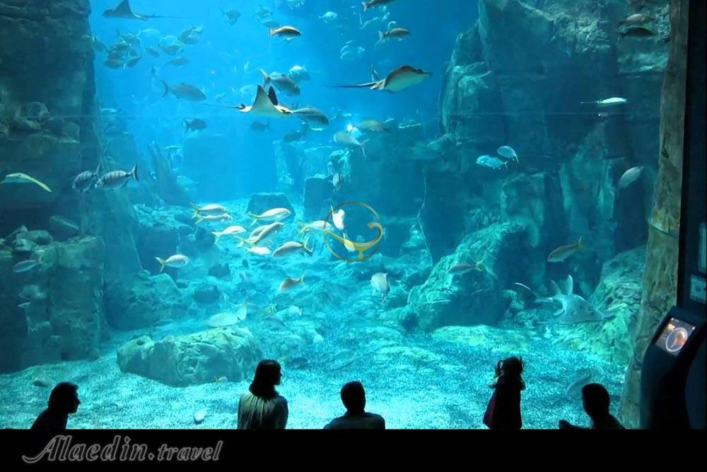 آکواریوم آکوا وگا آنکارا - ترکیه | علاءالدین تراول