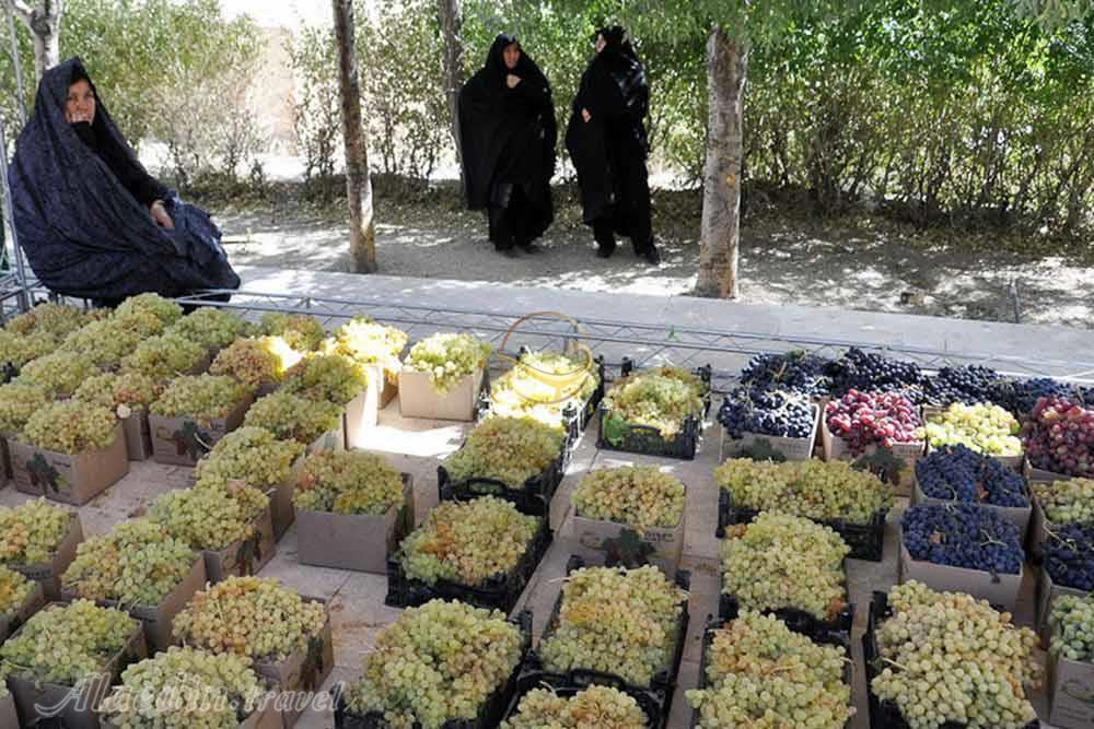 جشنواره انگور روستای هزاوه در اراک | علاءالدین تراول