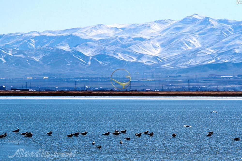 تالاب کویری میقان در اراک | علاءالدین تراول