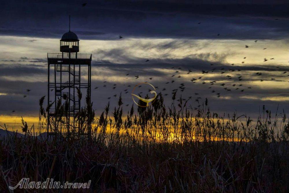 تالاب کویری میقان در اراک | علاءالدین تراول