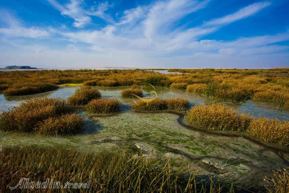 تالاب کویری میقان در اراک | علاءالدین تراول