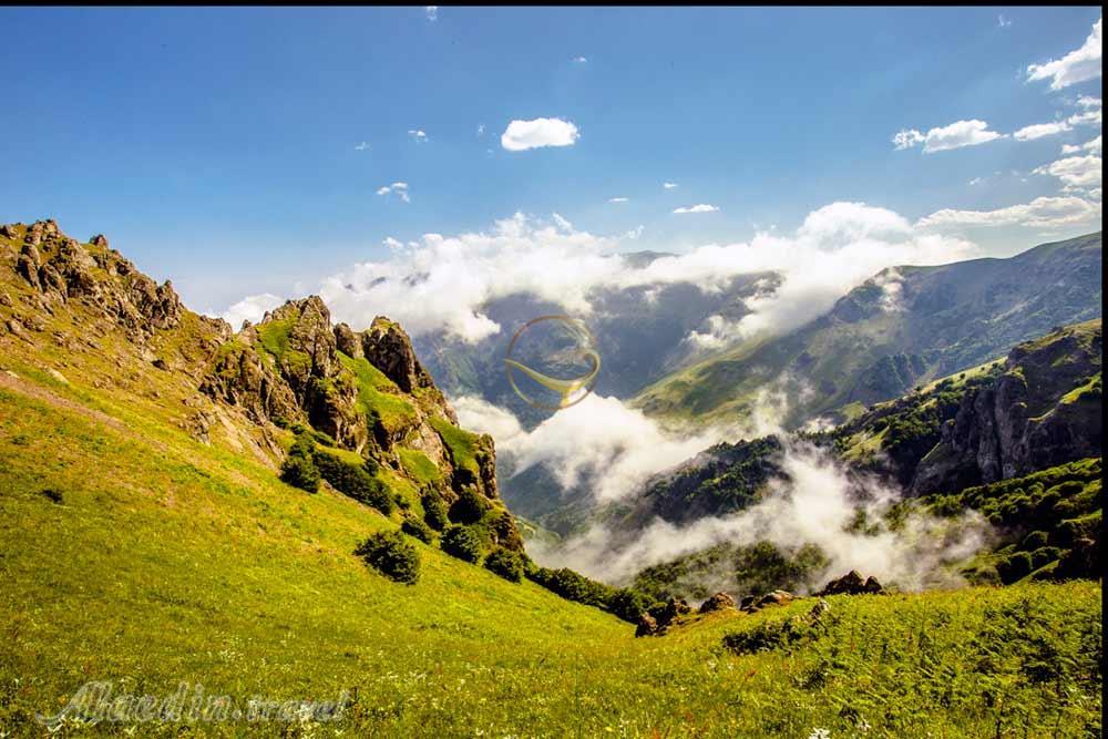 جنگل فندقلو اردبیل | علاءالدین تراول