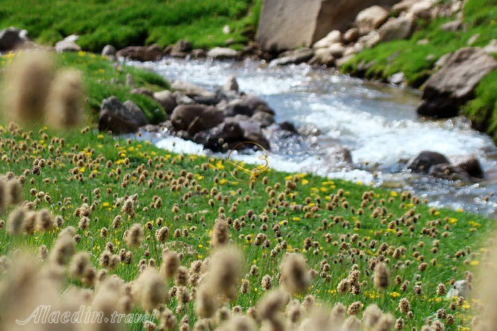 کوه سبلان اردبیل | علاءالدین تراول