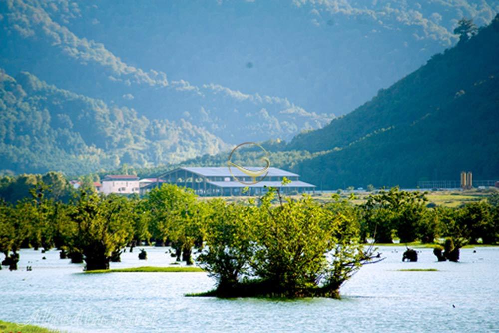 تالاب استیل آستارا | علاءالدین تراول