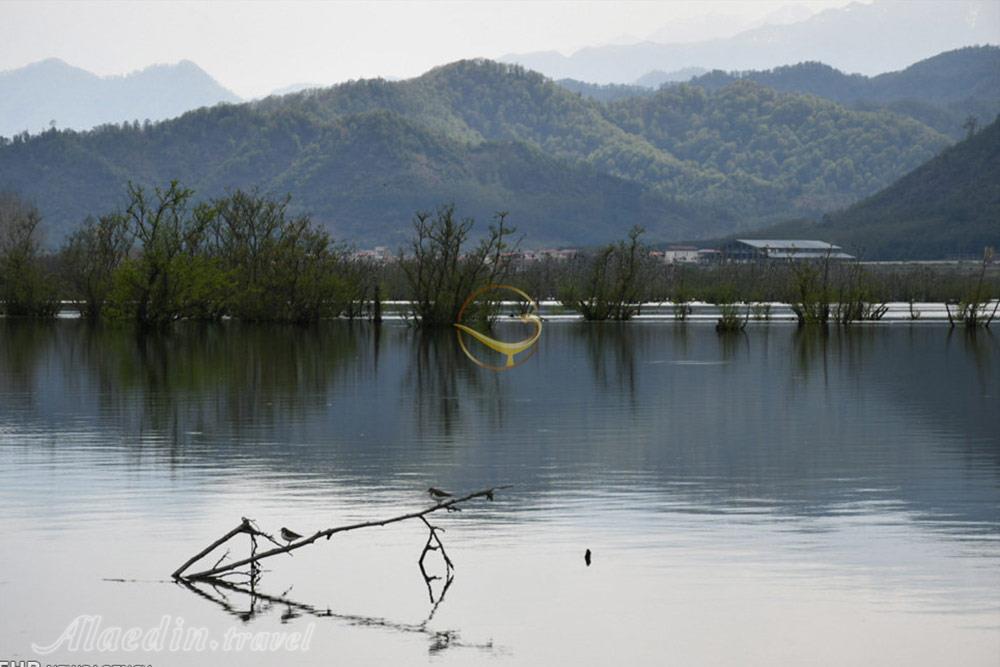 تالاب استیل آستارا | علاءالدین تراول