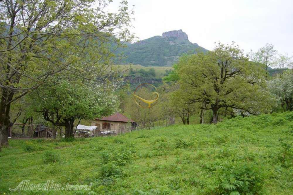 جنگل لوندویل آستارا | علاءالدین تراول