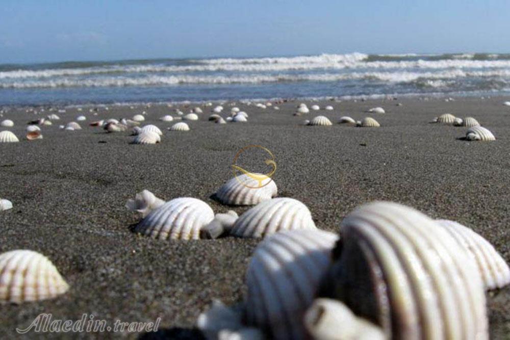 ساحل صدف آستارا | علاءالدین تراول