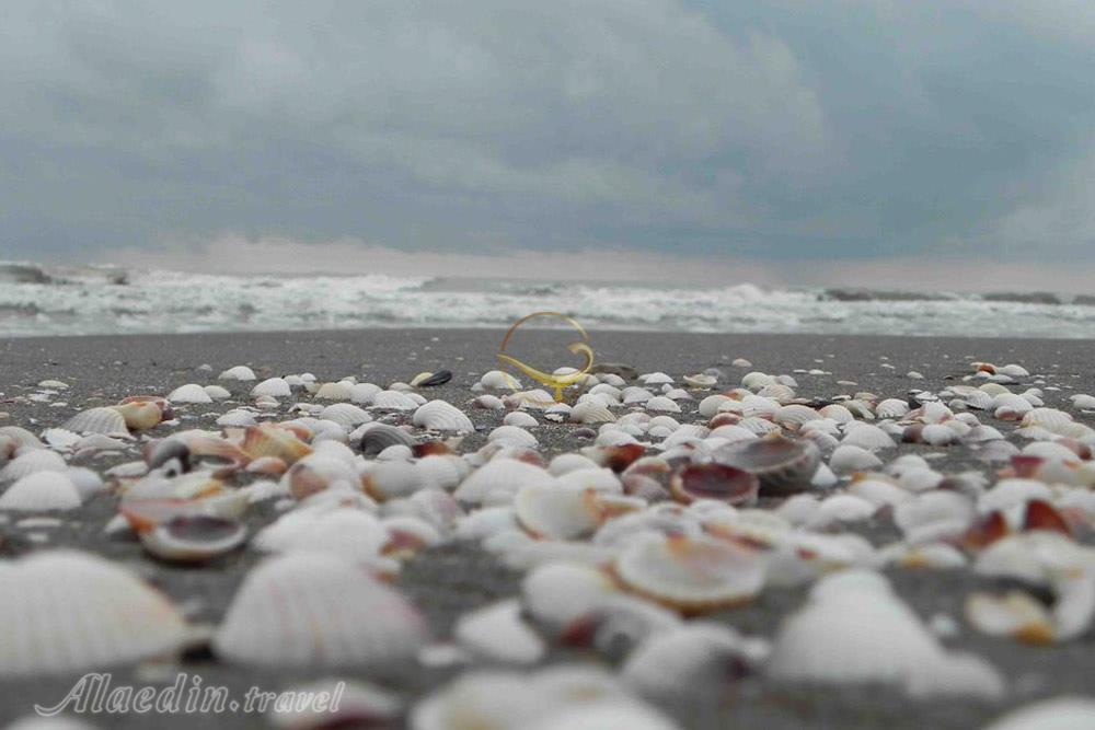 ساحل صدف آستارا | علاءالدین تراول