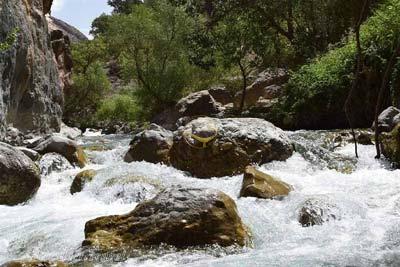 رودخانه ماربره در ازنا