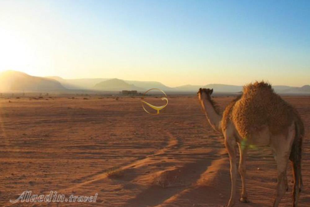 کویر بافق (کوير و بيابان درانجير) | علاءالدین تراول