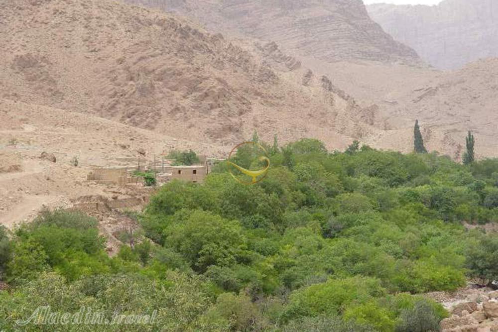 روستای شادکام بافق | علاءالدین تراول