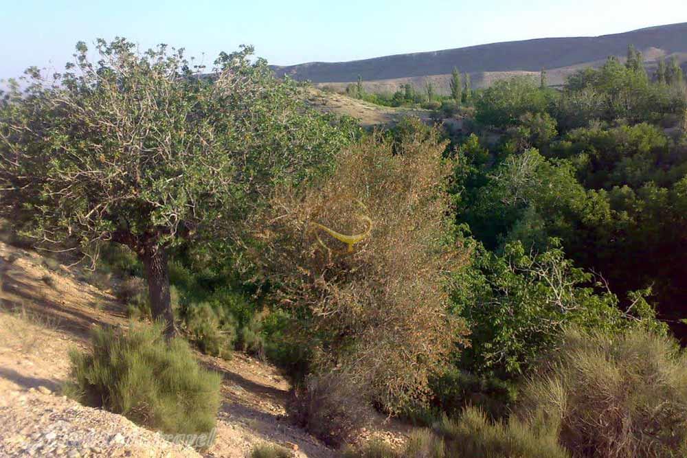 پارک ملی خبر در بافت | علاءالدین تراول