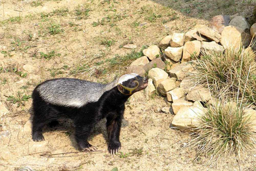 پارک ملی خبر در بافت | علاءالدین تراول