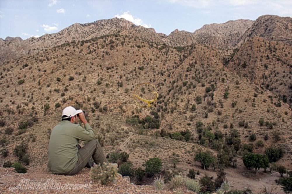 پارک ملی خبر در بافت | علاءالدین تراول