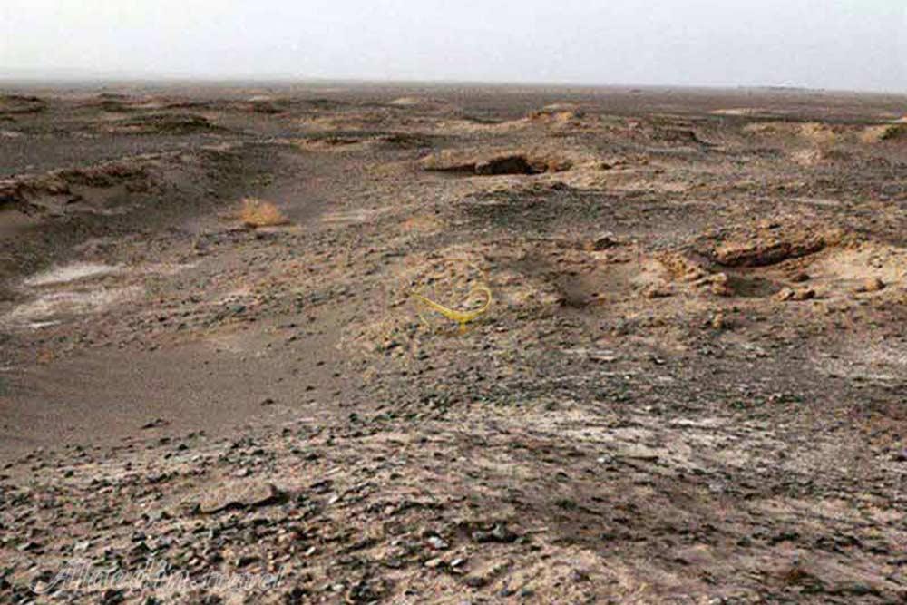 تل آتشین دارستان در بم | علاءالدین تراول