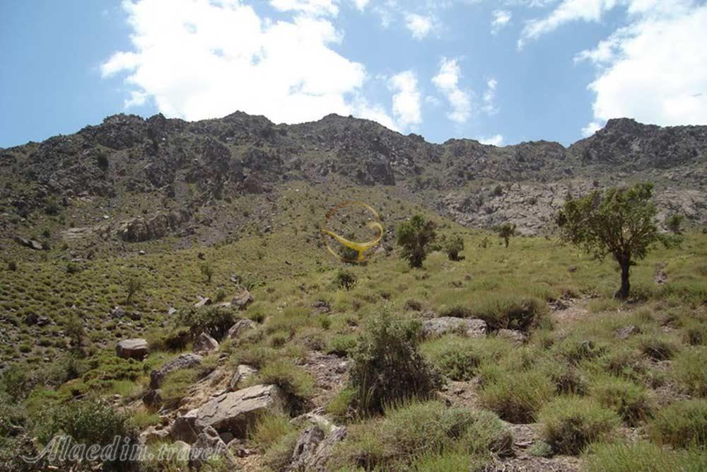 منطقه حفاطت شده کوه شیر در بم | علاءالدین تراول