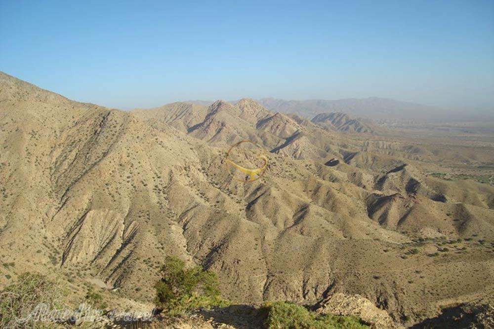 منطقه حفاطت شده کوه شیر در بم | علاءالدین تراول