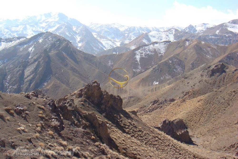 پناهگاه حیات وحش زریاب در بم | علاءالدین تراول