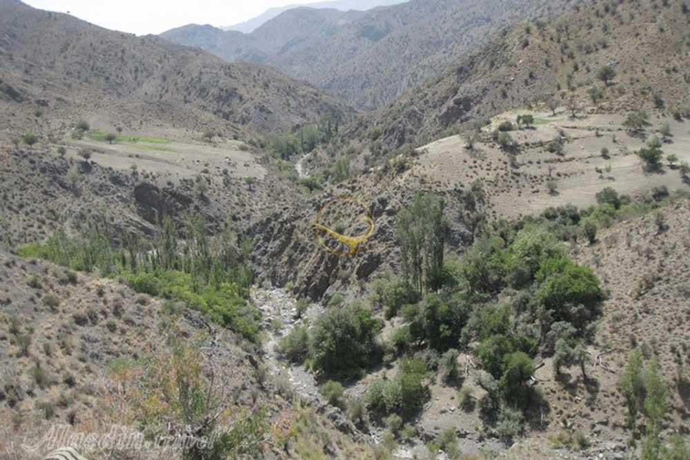 پناهگاه حیات وحش زریاب در بم | علاءالدین تراول