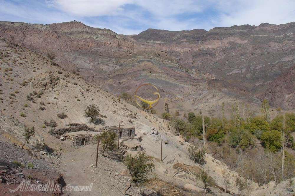 پناهگاه حیات وحش زریاب در بم | علاءالدین تراول