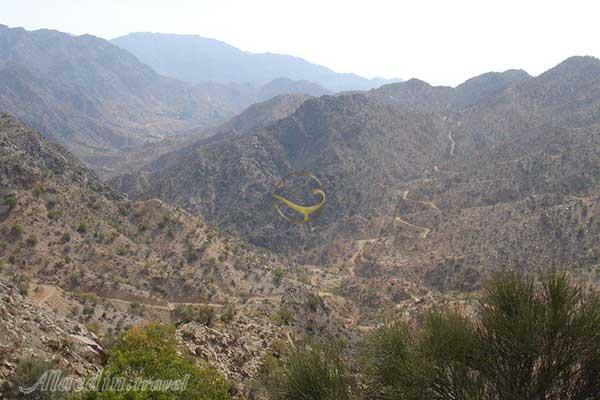 پناهگاه حیات وحش زریاب در بم