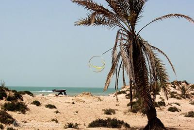 جزیره میر مهنا در بندر گناوه