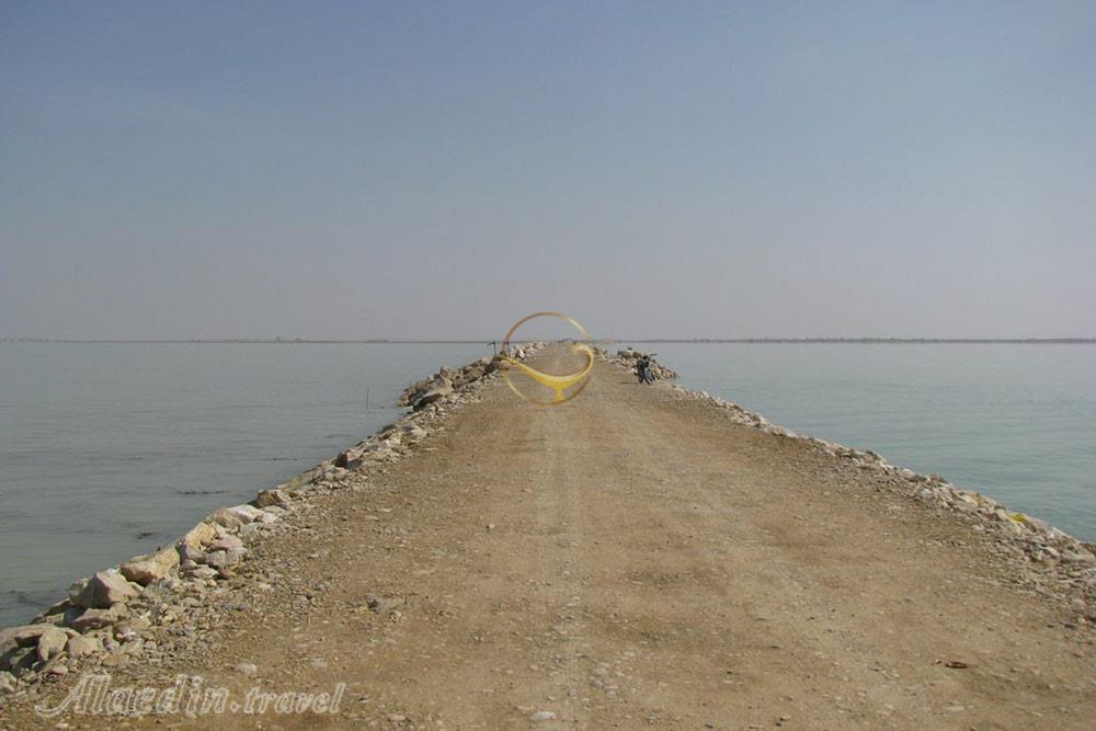 بندر ریگ بندر گناوه | علاءالدین تراول