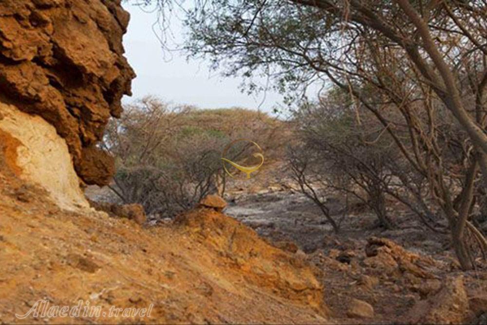 منطقه حفاظت شده فارور در بندر لنگه | علاءالدین تراول