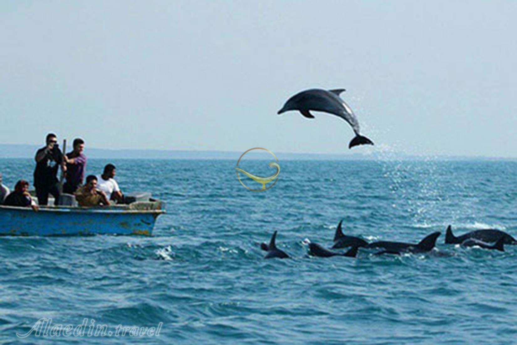 خور موسی | علاءالدین تراول