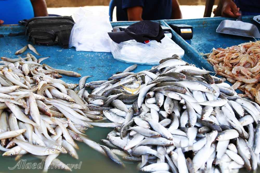 بازار بندرعباس | علاءالدین تراول