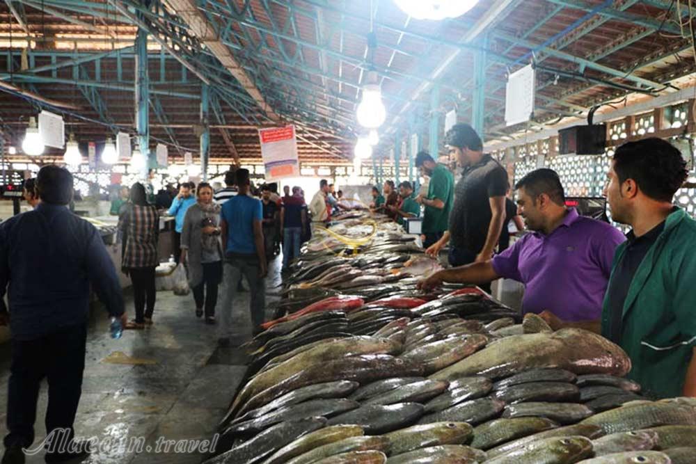 بازار ماهی فروشان بندرعباس | علاءالدین تراول