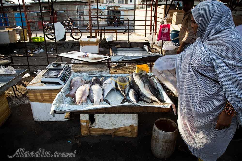بازار ماهی فروشان بندرعباس | علاءالدین تراول