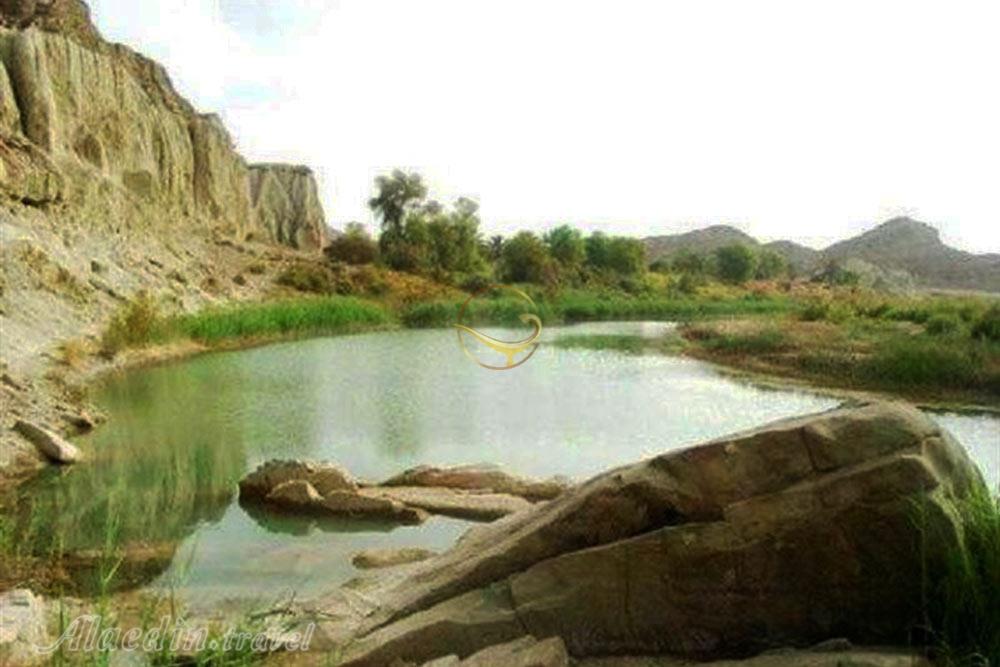 منطقه حفاظت شده گنو در بندرعباس | علاءالدین تراول