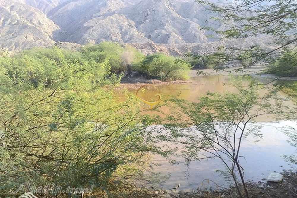 منطقه حفاظت شده کوه کشار بندرعباس | علاءالدین تراول