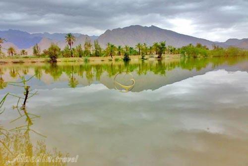منطقه حفاظت شده کوه کشار در بندرعباس