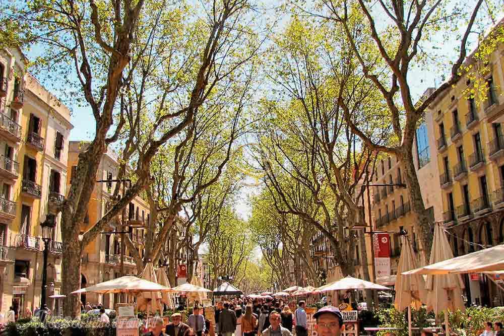 خیابان لارامبلا بارسلونا - اسپانیا | علاءالدین تراول