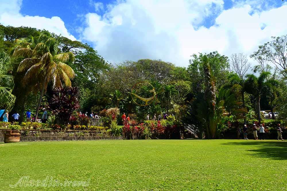 باغ های رامنی مانور در باستر - سنت کیتس و نویس | علاءالدین تراول