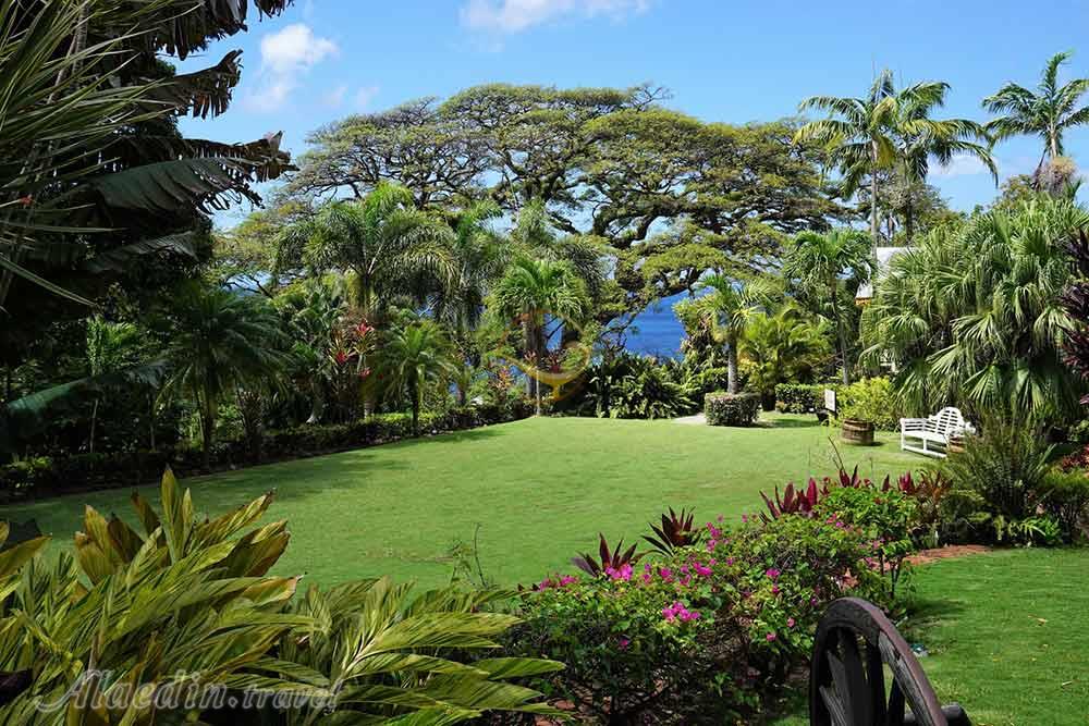 باغ های رامنی مانور در باستر - سنت کیتس و نویس | علاءالدین تراول