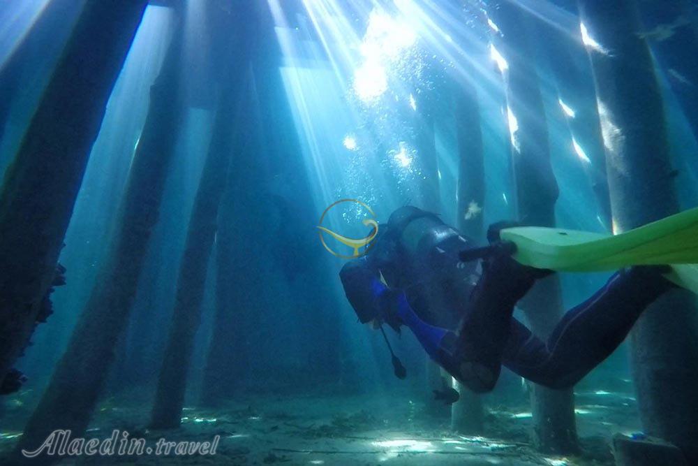 پارک آبی و مرکز غواصی در باتومی - گرجستان | علاءالدین تراول