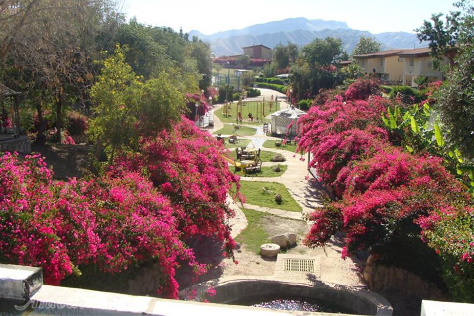 پلاژ سد مارون بهبهان | علاءالدین تراول