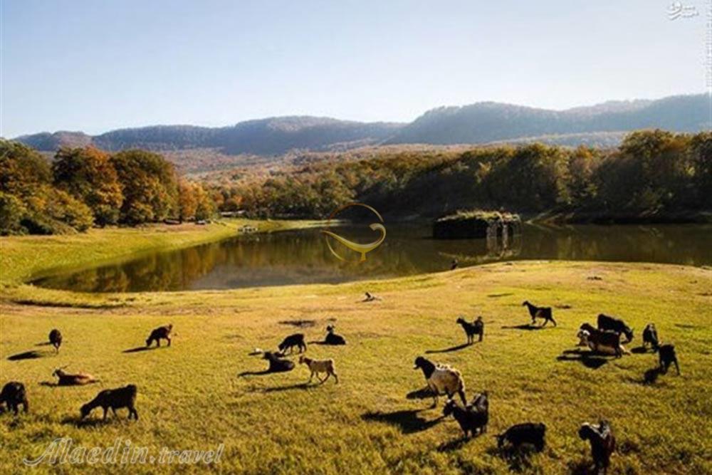 دریاچه عباس آباد بهشهر | علاءالدین تراول