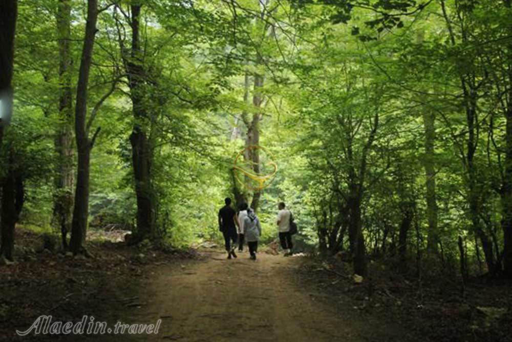 آبشار اسپه او بهشهر | علاءالدین تراول