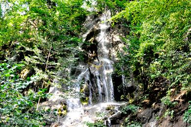 جنگل هزارجریب بهشهر