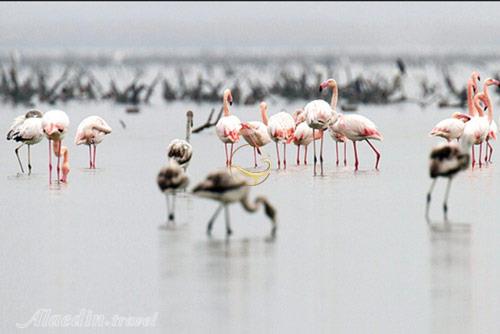 تالاب میانکاله بهشهر