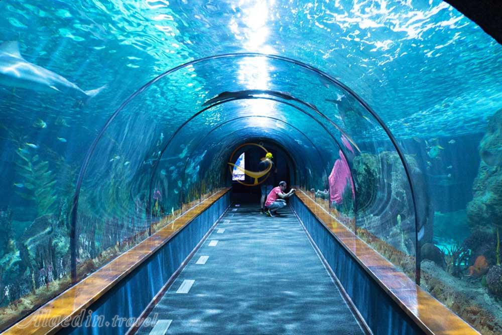 آکواریوم برگن - نروژ | علاءالدین تراول