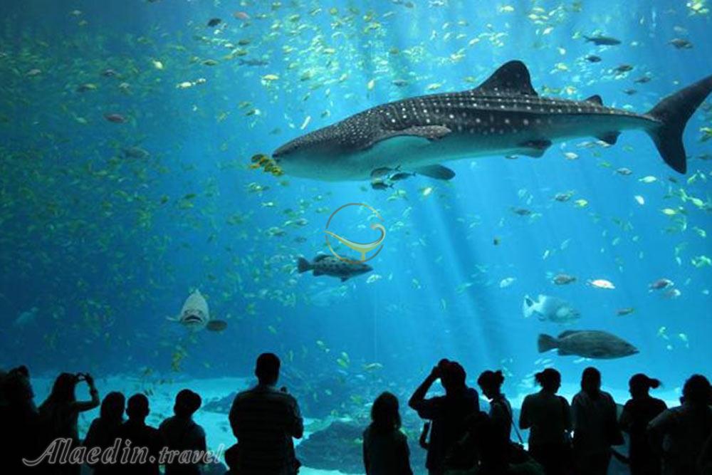 آکواریوم برگن - نروژ | علاءالدین تراول